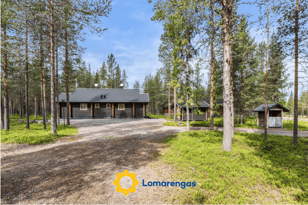Järvituikku a2