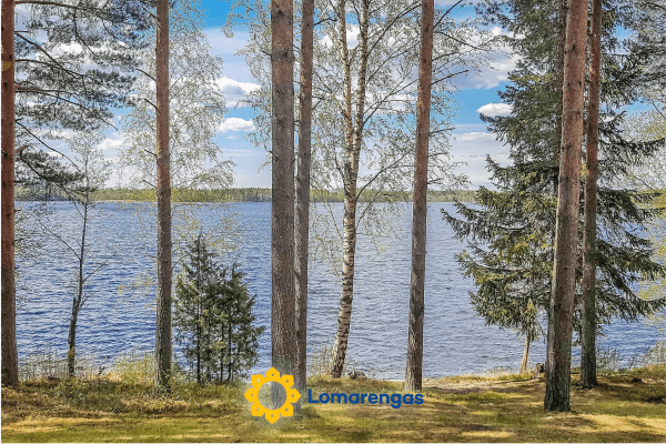 Männikkö