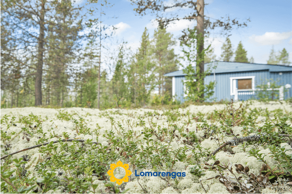 Jäkälä