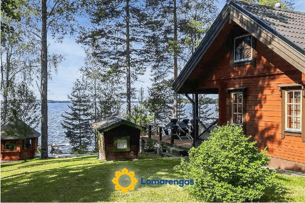 Puolen hehtaarin metsä