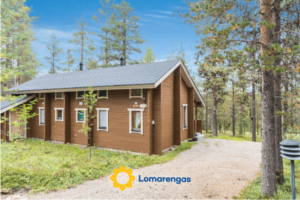 Tunturipöllö (huoneisto 902)