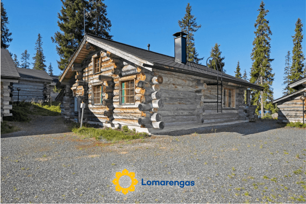 Villa vuosselinjärvi